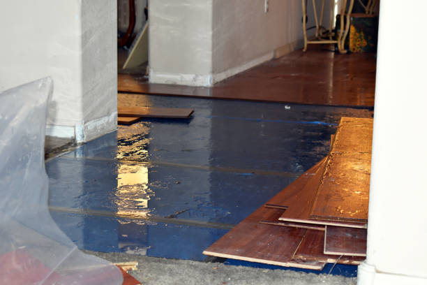Professional Burst Pipe Cleanup technician working in Clyde, NC